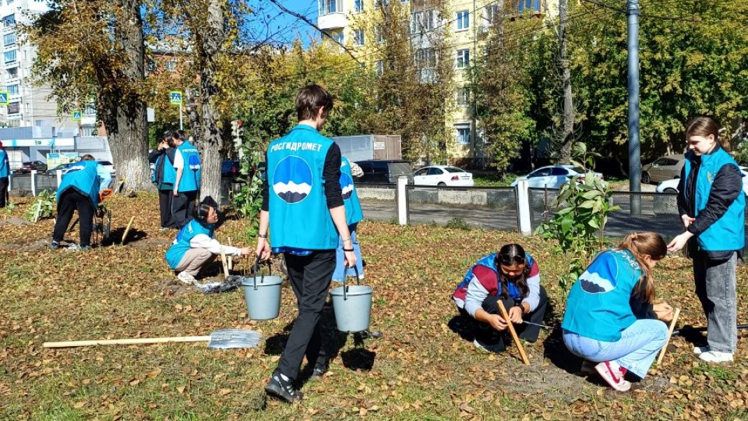 Посадка кустов сирени