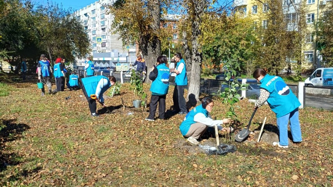 Студенты ИГМТ сажают деревья